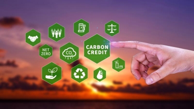 Sustainable path to international carbon market