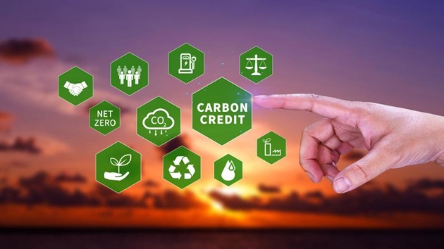Sustainable path to international carbon market