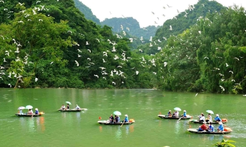 Đi tìm hơi thở xanh ở Thung Nham