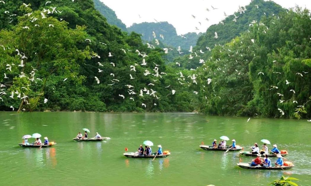 Không gian xanh mướt tại khu du lịch sinh thái Thung Nham vào độ thu sang.