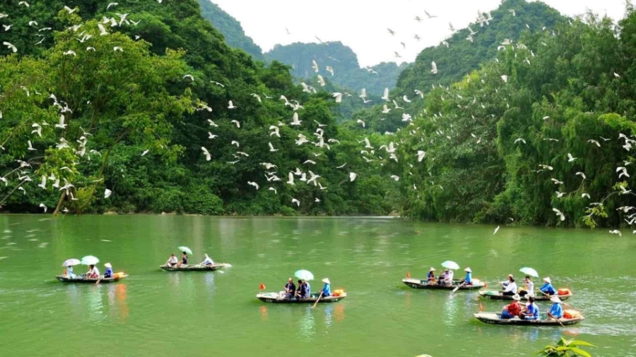 Không gian xanh mướt tại khu du lịch sinh thái Thung Nham vào độ thu sang.