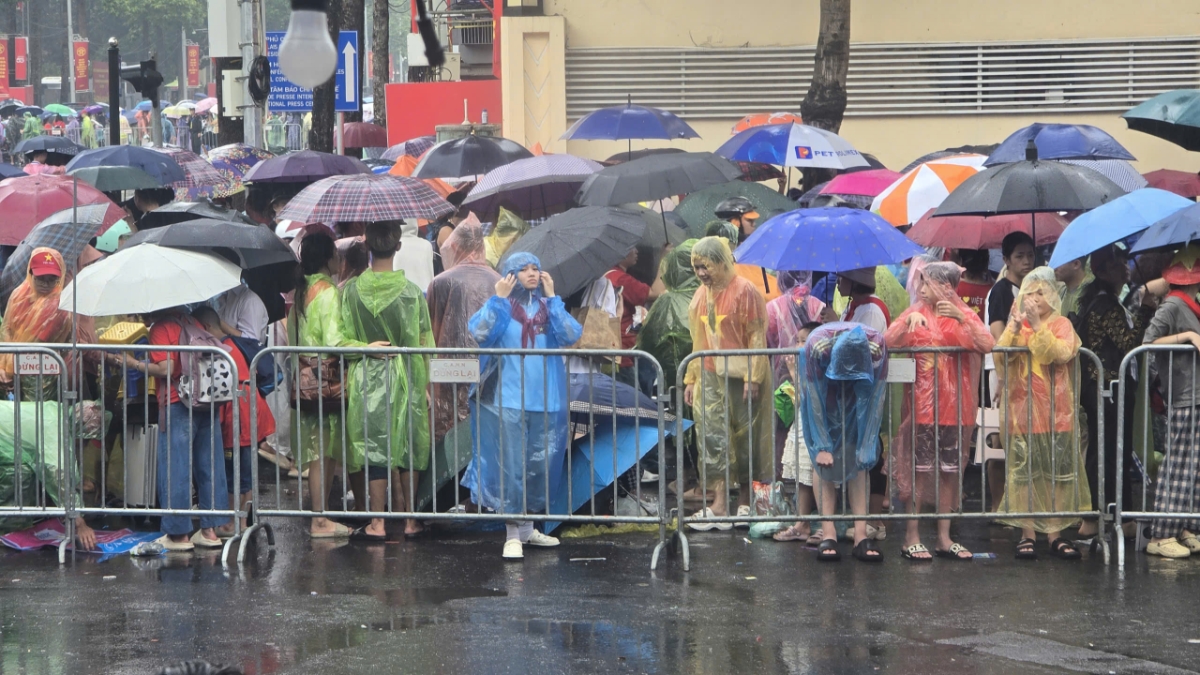 Chiều ngày 1/9 tại tuyến phố Hùng Vương – Nguyễn Thái Học - Hàng Cháo bất ngờ có cơn mưa nặng hạt.