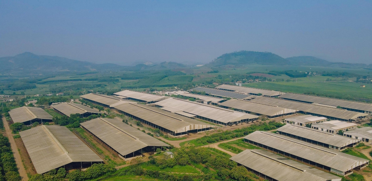 Năng lượng mặt trời tại các nhà máy của Tập đoàn TH tại Nghệ An.