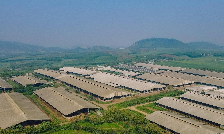 Năng lượng mặt trời tại các nhà máy của Tập đoàn TH tại Nghệ An.