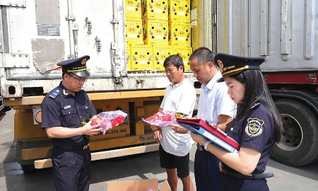 Rút ngắn 50% thời gian xử lý thủ tục hải quan và tăng cường số hoá