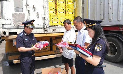 Rút ngắn 50% thời gian xử lý thủ tục hải quan và tăng cường số hoá