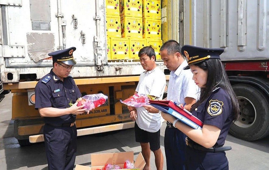 Rút ngắn 50% thời gian xử lý thủ tục hải quan