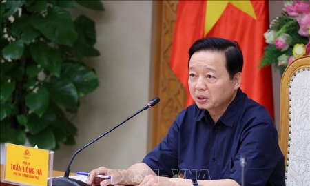 Cơ chế đặc thù về khoáng sản chỉ áp dụng cho công trình đặc biệt