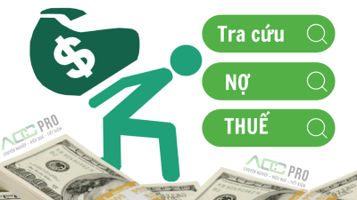 Major tax-debtors in Hue disclosed