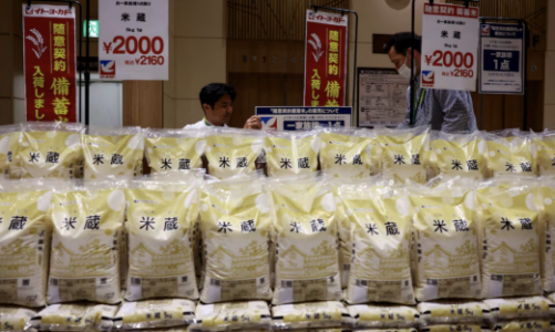 Nhật Bản không nhượng bộ Mỹ về nhập khẩu gạo