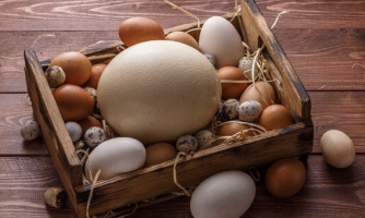 Danh mục khuyến nghị của các công ty chứng khoán trong tháng 9 có gì hay? 