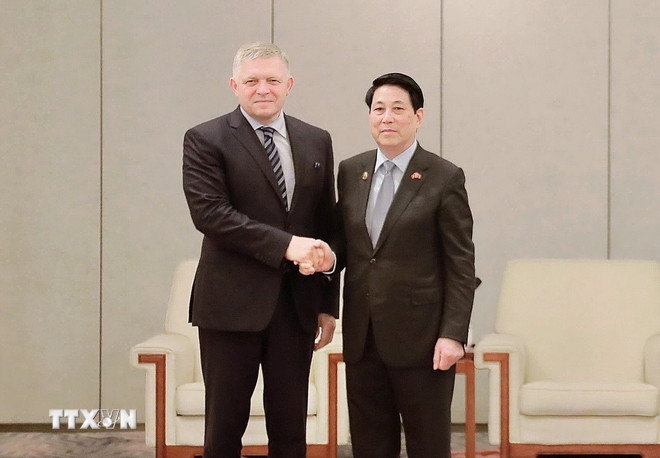 Chủ tịch nước Lương Cường hội kiến Thủ tướng Slovakia Robert Fico. Ảnh: TTXVN