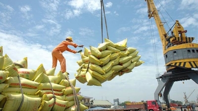 Vietnam’s rice exports top $3 bln by mid-August