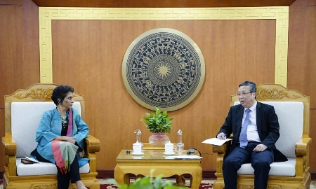 Trọng tâm hợp tác giữa UNDP và Việt Nam sẽ hướng vào carbon xanh, huy động tài chính khí hậu