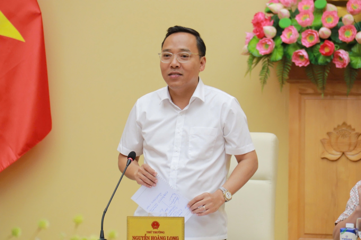 Thứ trưởng Nguyễn Hoàng Long: 