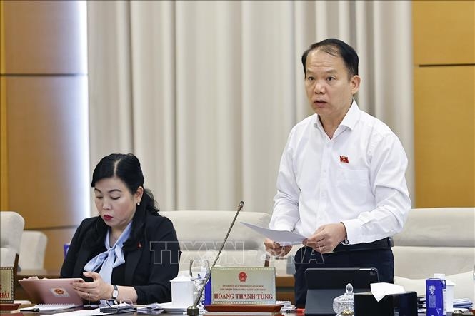 Chủ nhiệm Ủy ban Pháp luật và Tư pháp của Quốc hội Hoàng Thanh Tùng phát biểu. Ảnh:TTXVN.