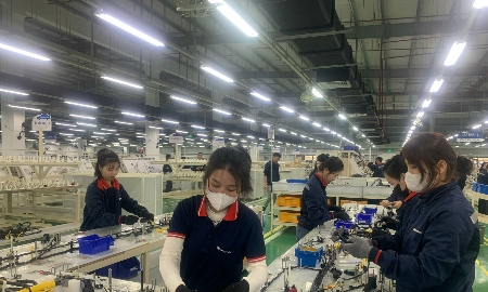 Nghệ An: Nhiều sản phẩm công nghiệp tăng trưởng mạnh