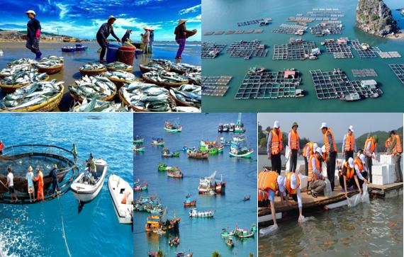 Nội dung cung cấp thông tin bao gồm dữ liệu về các nguồn thải, sự cố môi trường, hoạt động nuôi trồng thủy, hải sản, thống kê các sự cố tràn dầu cửa sông, trên biển.