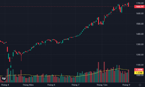 “Cú lừa” trên đỉnh 1700 điểm?