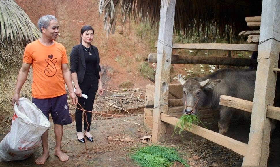 Gia đình ông Thành ở xã Bình Yên (tỉnh Thái Nguyên) là hộ nghèo được hỗ trợ mua trâu sinh sản.