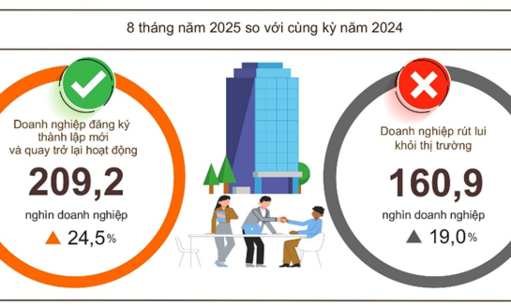 Tình hình đăng ký doanh nghiệp trong 8 tháng năm 2025. Nguồn : Cục Thống kê