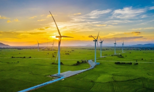 Quảng Trị kêu gọi đầu tư Dự án Nhà máy điện gió hơn 1.100 tỷ đồng