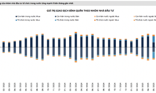Tổ chức trong nước là thế lực đáng gờm mới, tỷ trọng giao dịch lên tới 50% 