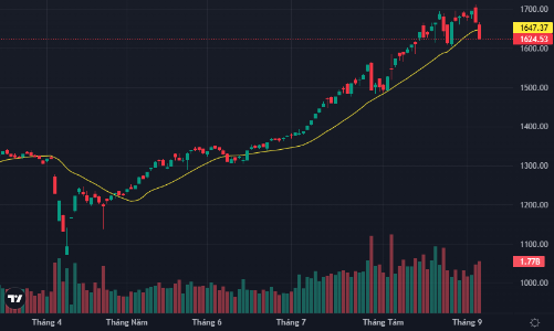 Bán tháo lan tràn, 37 cổ phiếu giảm sàn, VN-Index lùi sát mốc 1600 điểm