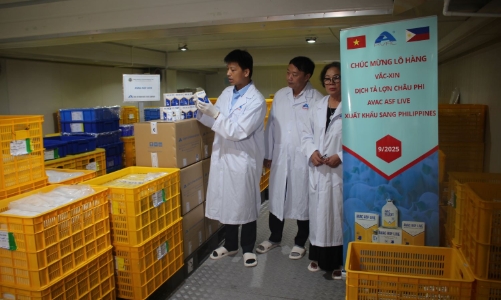 Xuất khẩu lô vaccine “made in VietNam” lớn nhất từ trước tới nay sang Philippines