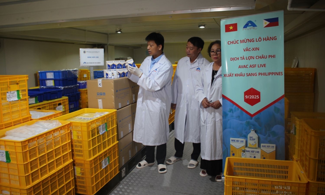 Lô vaccine AVAC ASF LIVE trong kho lạnh trước khi xuất khẩu đi Philippines. Ảnh Chu Khôi.
