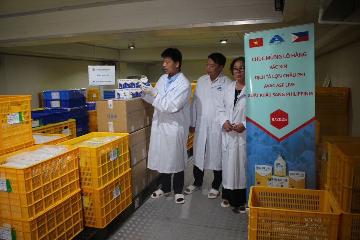 Lô vaccine AVAC ASF LIVE trong kho lạnh trước khi xuất khẩu đi Philippines. Ảnh Chu Khôi.