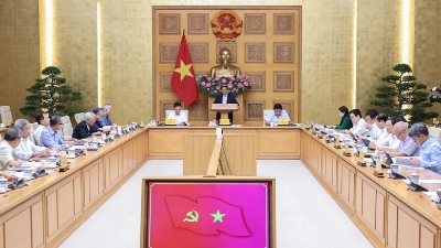 Prime Minister Pham Minh Chinh works with Policy Advisory Council