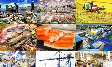 Triển khai hiệu quả các giải pháp thúc đẩy xuất khẩu trong những tháng cuối năm