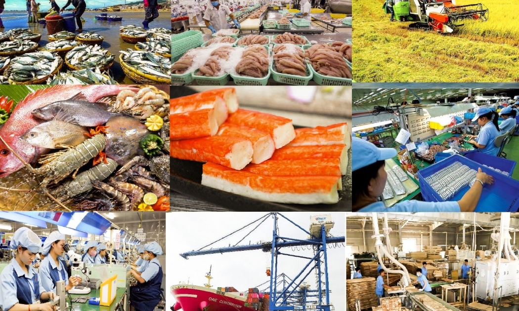 Kim ngạch xuất khẩu của cả nước 8 tháng năm 2025 đạt 304,8 tỷ USD, tăng 14,4% so với cùng kỳ năm 2024.