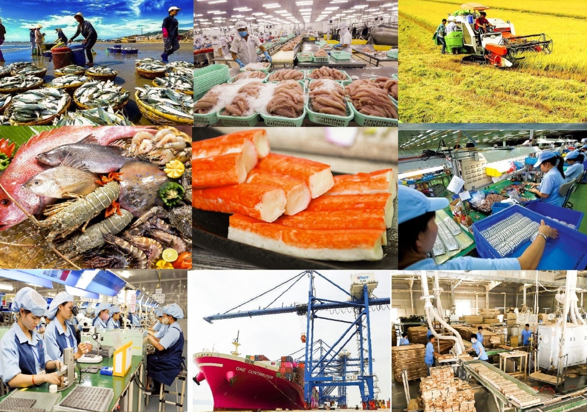 Kim ngạch xuất khẩu của cả nước 8 tháng năm 2025 đạt 304,8 tỷ USD, tăng 14,4% so với cùng kỳ năm 2024.