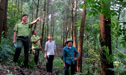 Thêm nhiều cộng đồng dân cư Nghệ An được hưởng lợi qua giảm phát thải khí nhà kính từ rừng