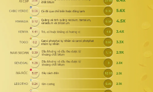 Kiều hối trở thành động lực kinh tế mới của nhiều nước châu Phi