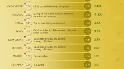 Kiều hối trở thành động lực kinh tế mới của nhiều nước châu Phi