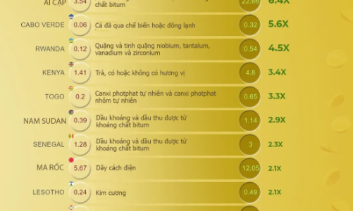 Kiều hối trở thành động lực kinh tế mới của nhiều nước châu Phi