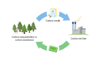 Đẩy nhanh tiến độ hình thành thị trường carbon trong nước, chú trọng yếu tố cung–cầu thực chất