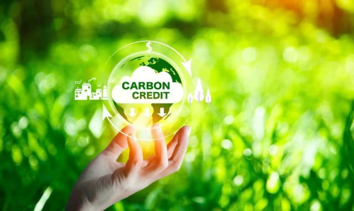 Đẩy nhanh tiến độ hình thành thị trường carbon trong nước, chú trọng yếu tố cung–cầu thực chất