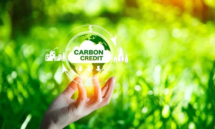 Đẩy nhanh tiến độ hình thành thị trường carbon trong nước, chú trọng yếu tố cung–cầu thực chất