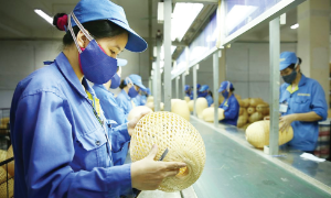 IMF: Kinh tế Việt Nam tăng trưởng mạnh mẽ nhưng đối mặt nhiều rủi ro bất định