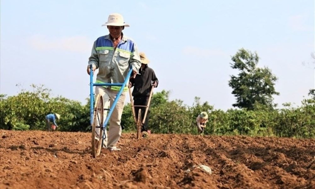 Nếu đất nông nghiệp tăng giá quá cao, sẽ bất lợi cho sản xuất nông nghiệp.