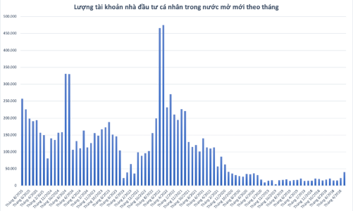 Nhà đầu tư cá nhân mở tài khoản chứng khoán kỷ lục trong một năm