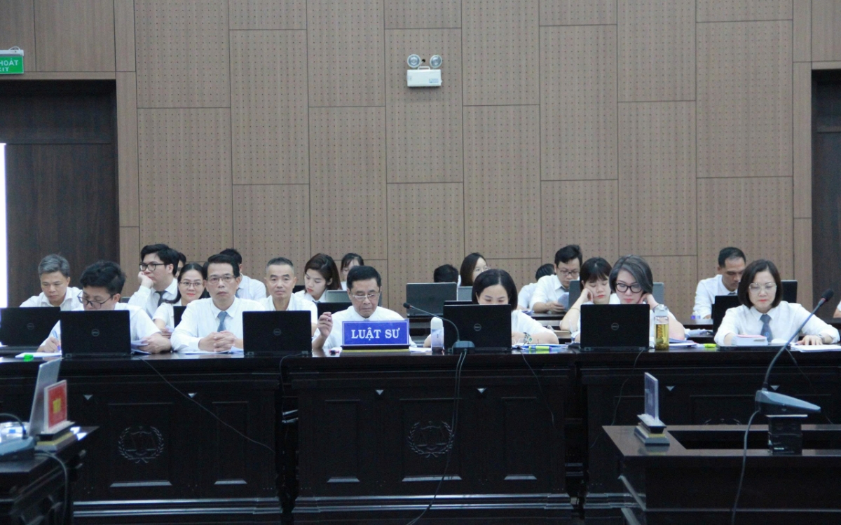 Các luật sư tham gia tố tụng.