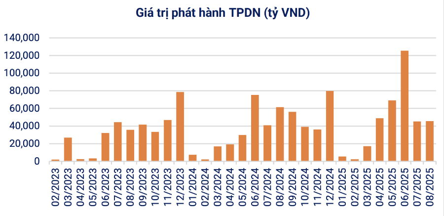 Giá trị phát hành trái phiếu doanh nghiệp trong tháng 8 (Nguồn: VBMA)
