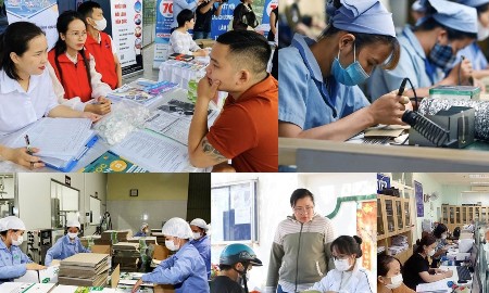 Huế: Tăng cường kết nối cung - cầu lao động, phát triển thị trường lao động bền vững, hiệu quả