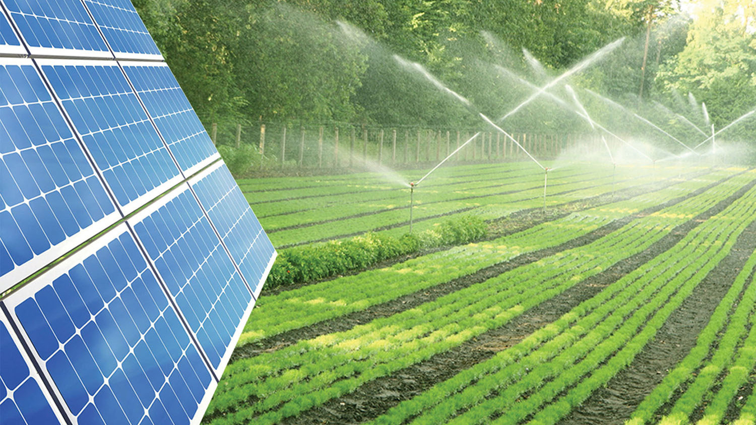 Mô hình điện mặt trời nông nghiệp lần đầu tiên tại Việt Nam: Năng lượng xanh cho phát triển bền vững