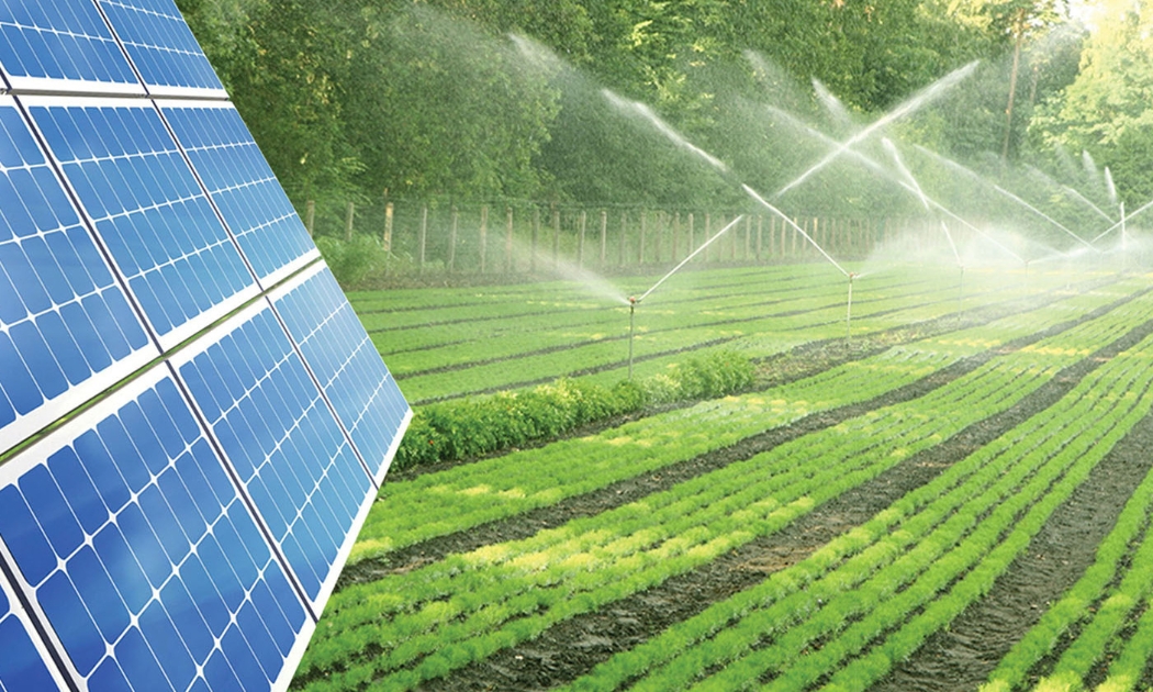 Dự án điện mặt trời nông nghiệp mang lại lợi ích kép; vừa tạo năng lượng sạch, vừa sản xuất nông nghiệp. Ảnh minh họa.